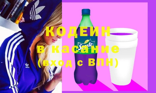 индика Няндома
