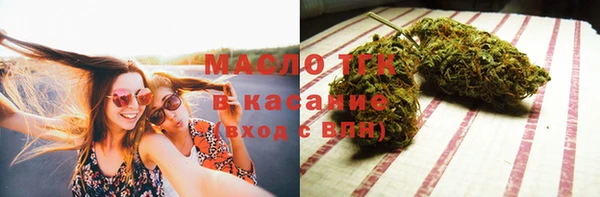 индика Няндома