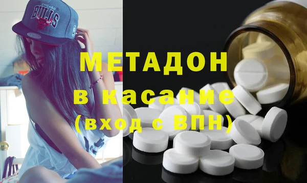 индика Няндома