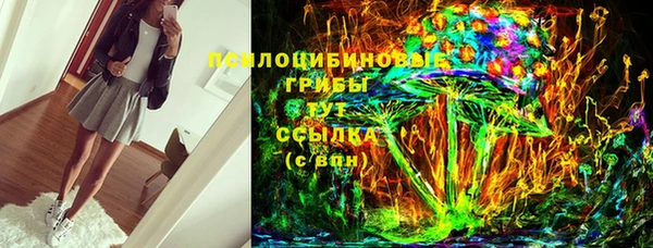 индика Няндома