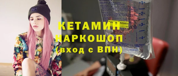 индика Няндома