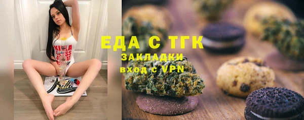 индика Няндома