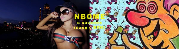 индика Няндома