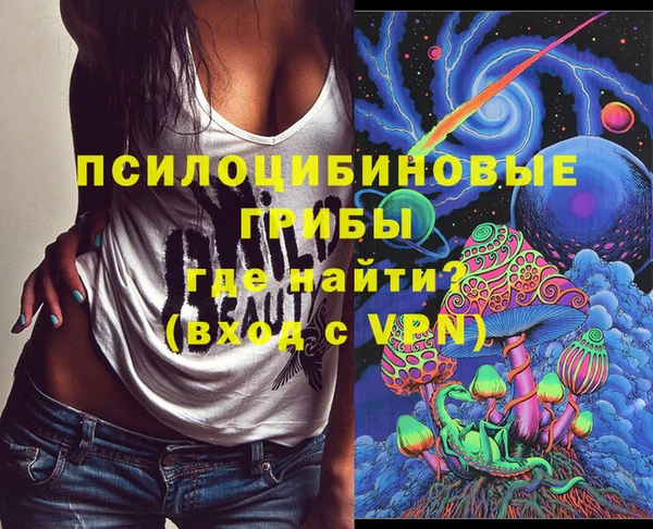 каннабис Новозыбков