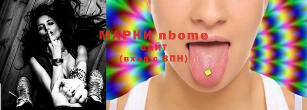 индика Няндома