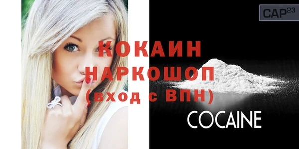 индика Няндома