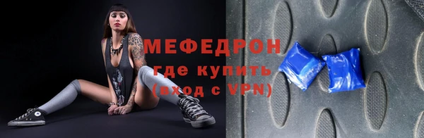 индика Няндома