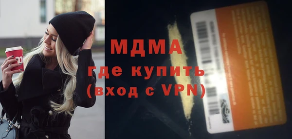 индика Няндома
