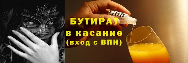 индика Няндома