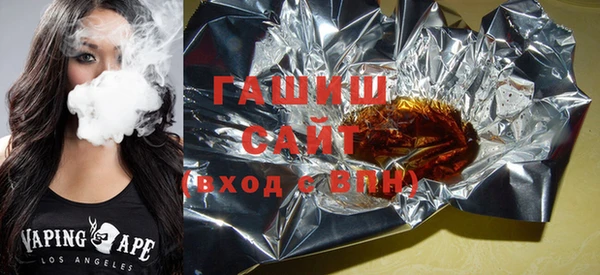 индика Няндома