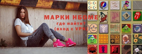 индика Няндома