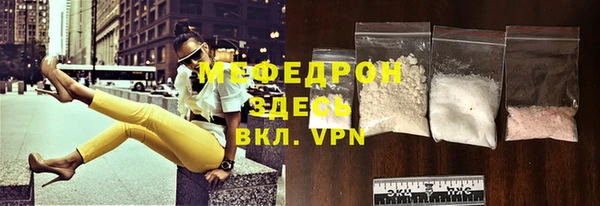 индика Няндома