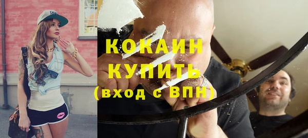 индика Няндома