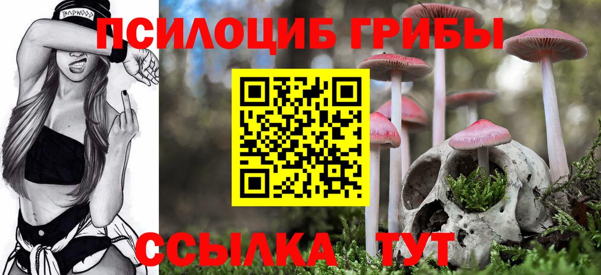 Юрга  Галлюциногенные грибы мухоморы  Вход с VPN 